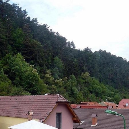 ブラショフ Casa Regalヴィラ エクステリア 写真