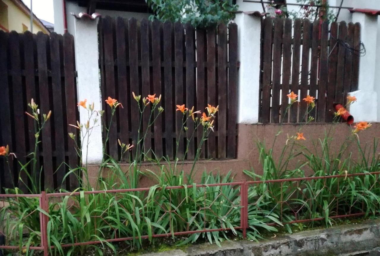ブラショフ Casa Regalヴィラ エクステリア 写真