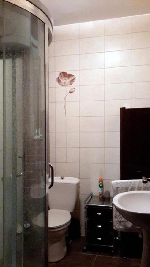 ブラショフ Casa Regalヴィラ エクステリア 写真