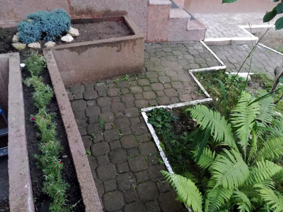ブラショフ Casa Regalヴィラ エクステリア 写真